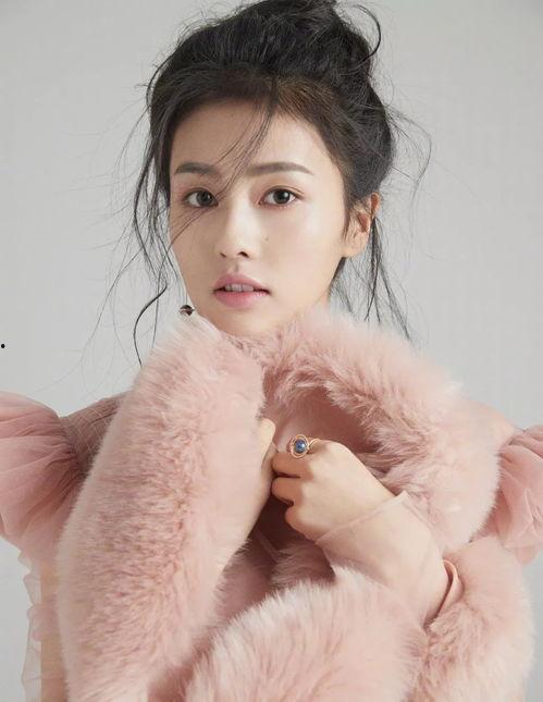 白鹿视频,探寻历史与现代交融的视觉盛宴