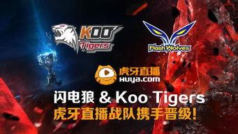 lol虎牙视频站,重温电竞激情，领略高手风采