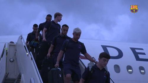 美国日批视频,揭秘日常生活背后的趣味与真相