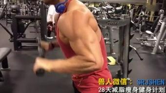 健美先生训练视频,打造完美身材的秘诀解析